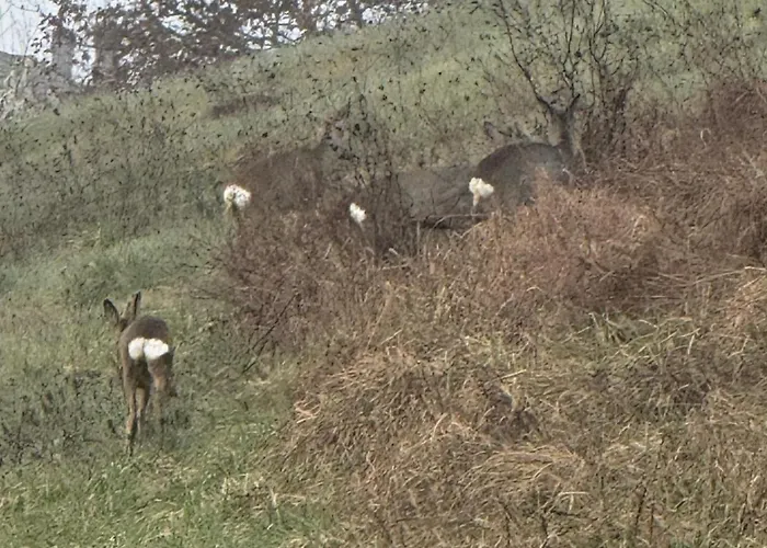 Due Mondi Hébergement de vacances *